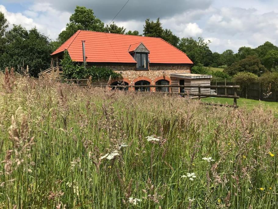 Burleyhayes Barn - Secluded Devon Hideaway. Βίλα Hemyock Εξωτερικό φωτογραφία
