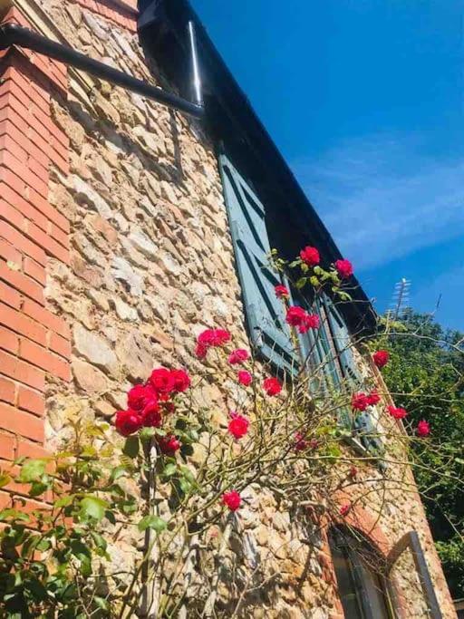 Burleyhayes Barn - Secluded Devon Hideaway. Βίλα Hemyock Εξωτερικό φωτογραφία